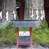日本のご神木巡礼（栃木編）～日光二荒山神社の“縁結び”のスギ～