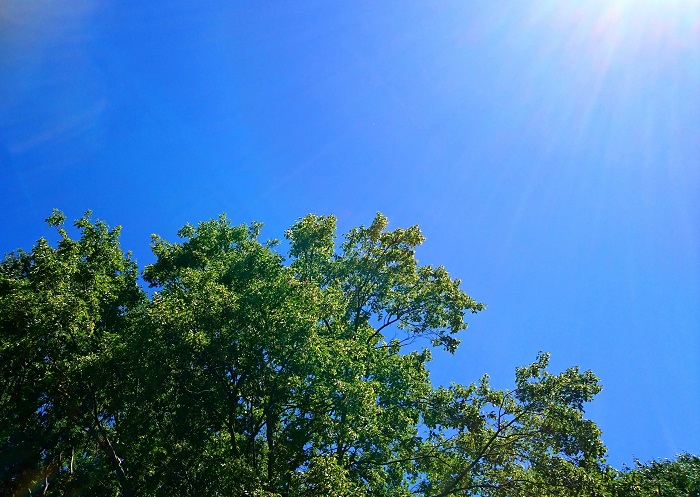この夏に愛と幸福をもたらすキーワード