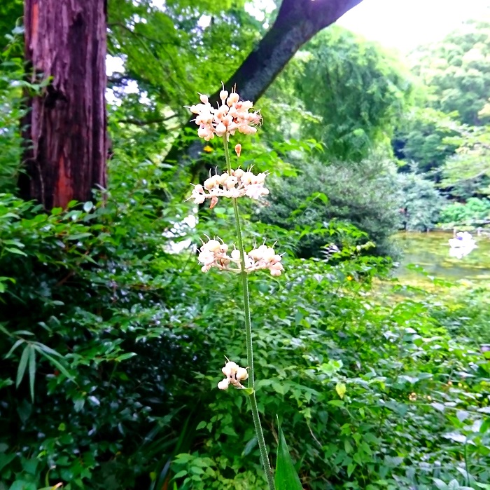 この夏に愛と幸福をもたらすキーワード